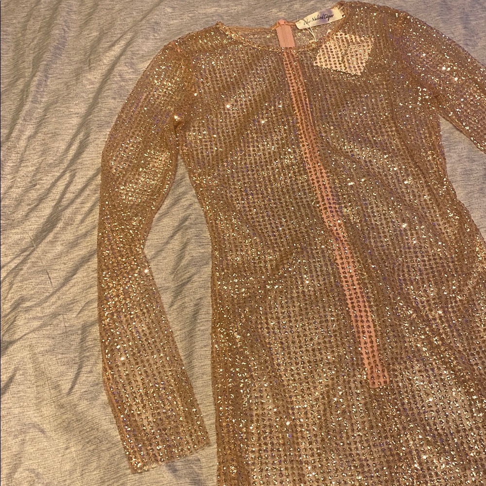 The Naked Tiger IGGY DRESS Long Sleeve Sheer Sz XS Light Pink NWT - Picture 5 of 14